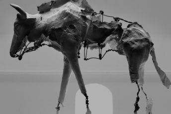 ARTIST> Yuichi Ikehata (Japan)